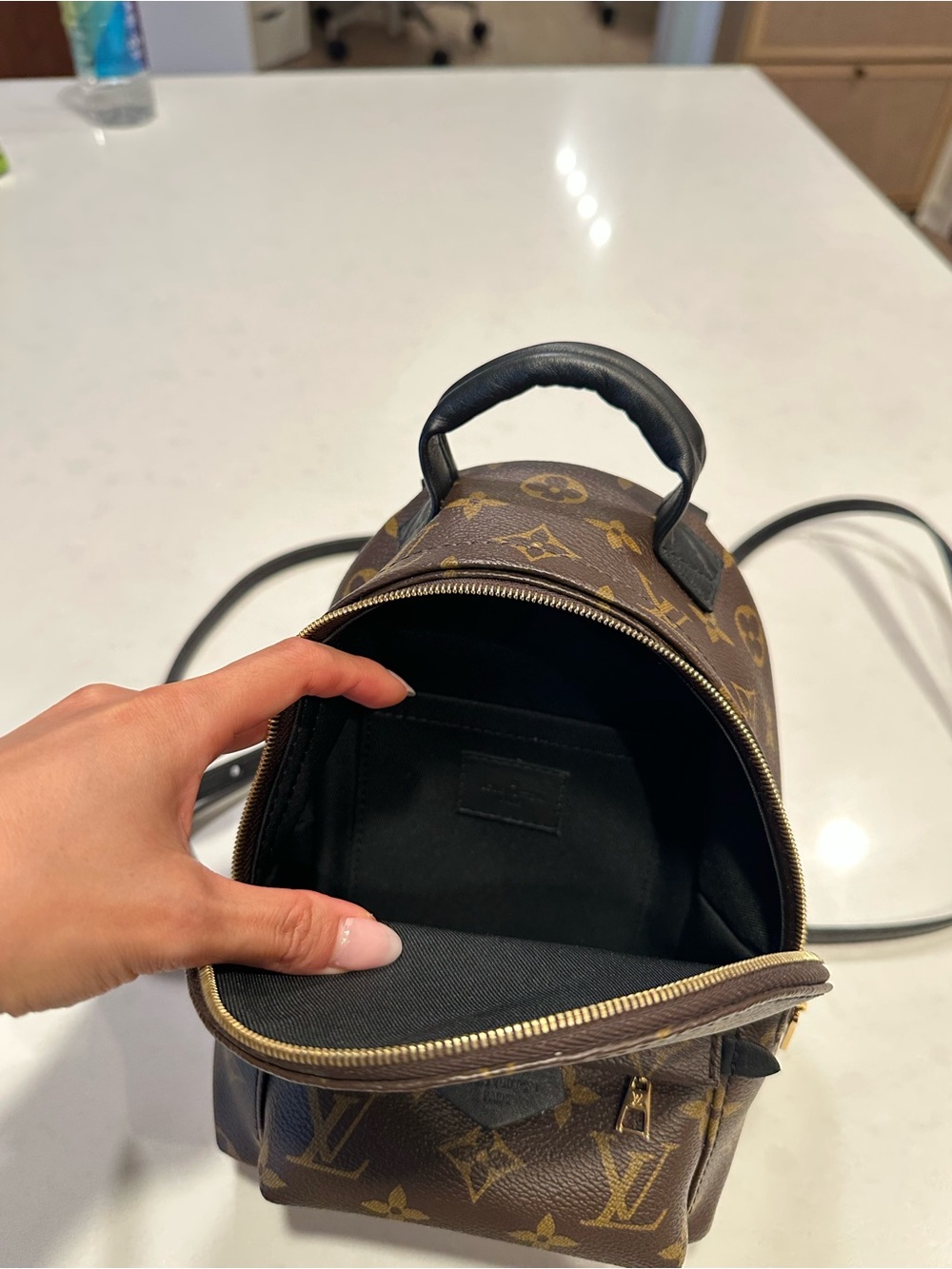 Louis Vuitton Monogram Palm Springs Mini Backpack with Black Scarf - Picture 6 of 6